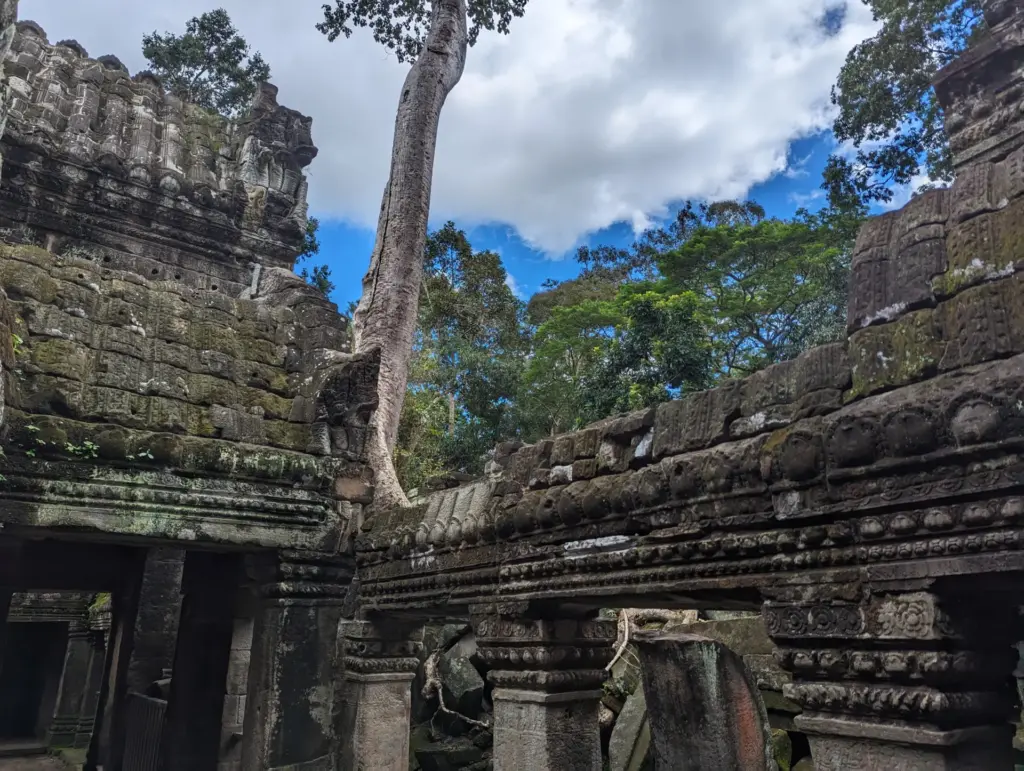 Ta Prohm, 16.11.2023