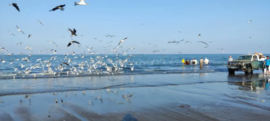 Suhar, Oman, 30.01.2023