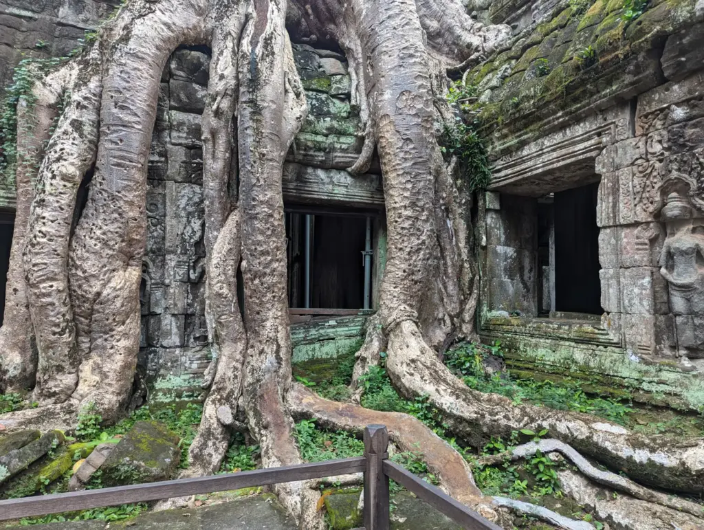 Ta Prohm, 16.11.2023