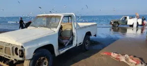 Suhar, Oman, 30.01.2023