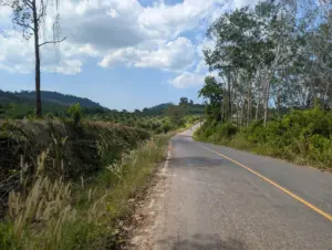 Amphoe Kantang, Trang, 10.01.2026, Thailand