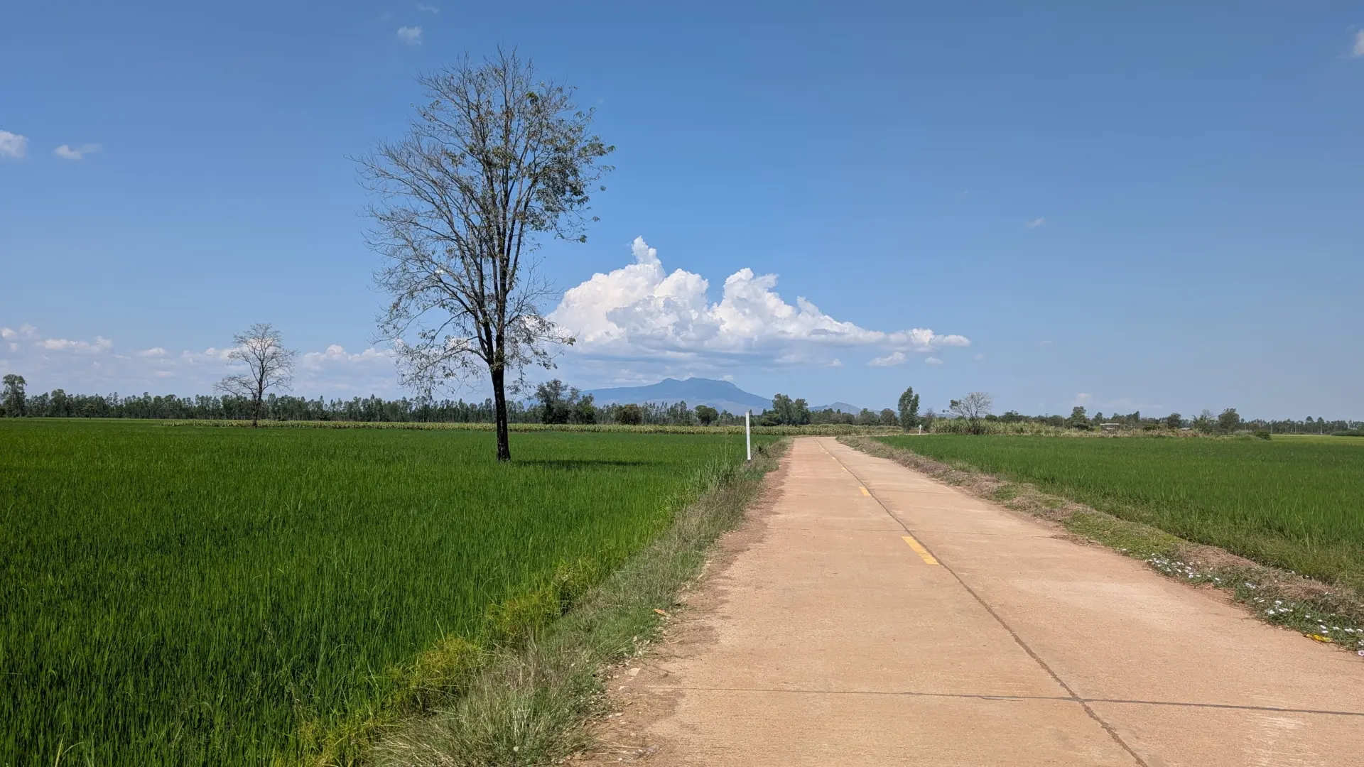 Amphoe Phran Kratai, Kamphaeng Phet, Thailand