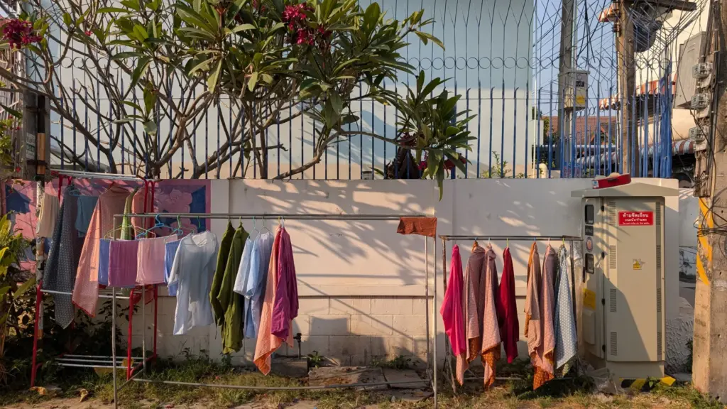 Chiang Mai, 05.03.2025, Thailand 2