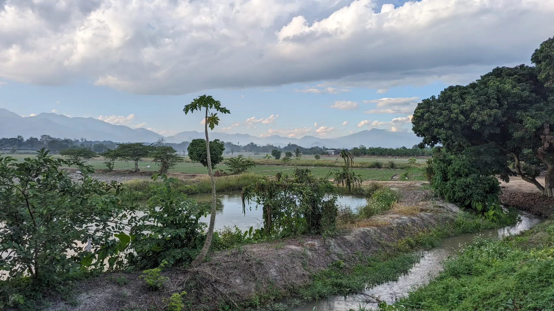 Mae Kha, Fang District, Chiang Mai, 10.12.2023