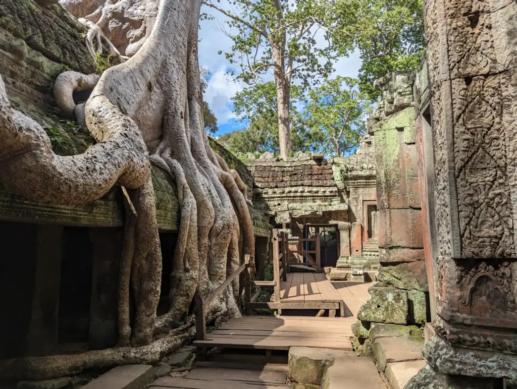 Ta Prohm, 16.11.2023