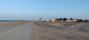 Tawi Bedi Guish, Oman, 31.01.2023