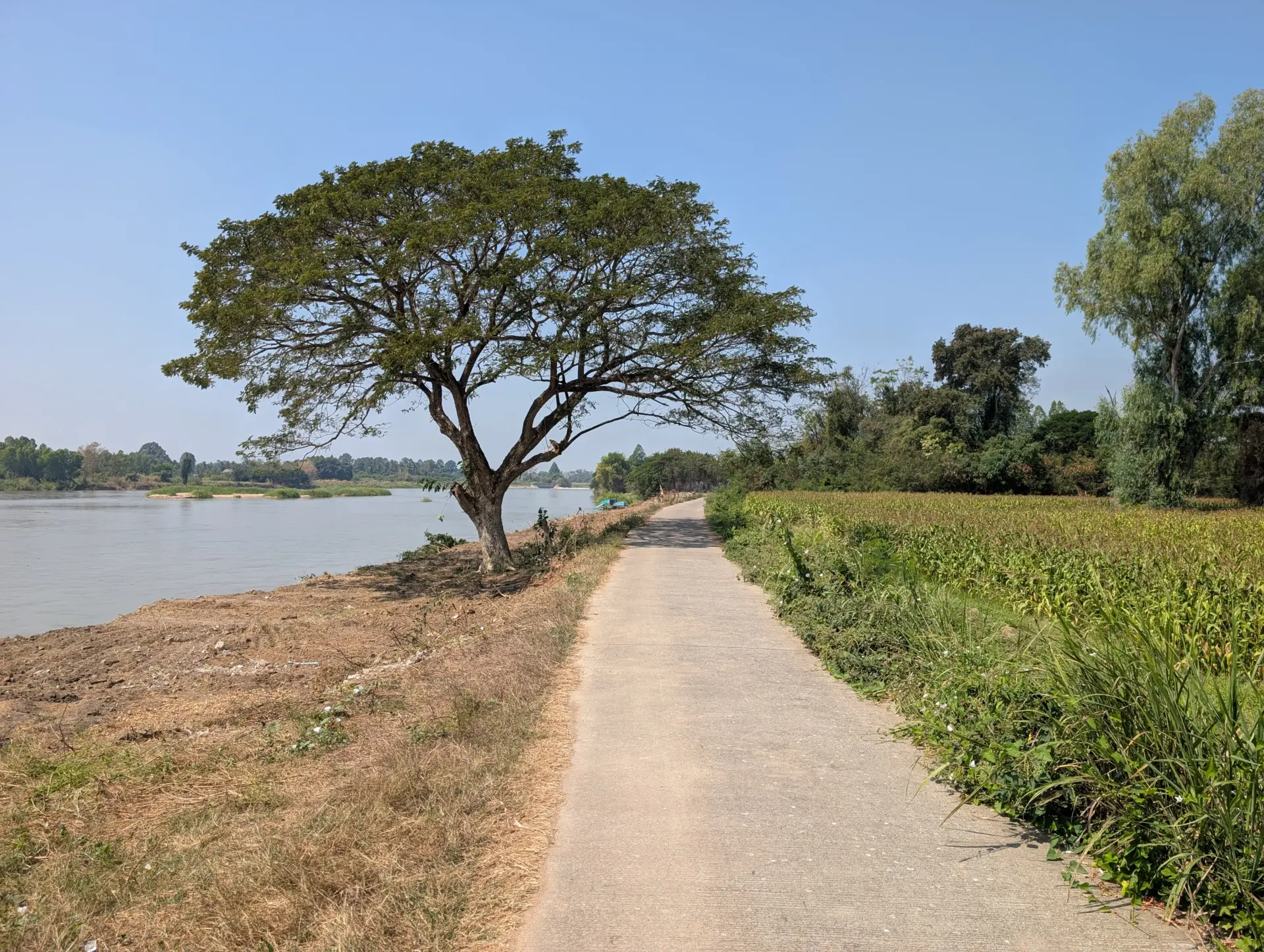 Ping-Fluss, Amphoe Banphot Phisai, Nakhon Sawan, 07.02.2026, Thailand