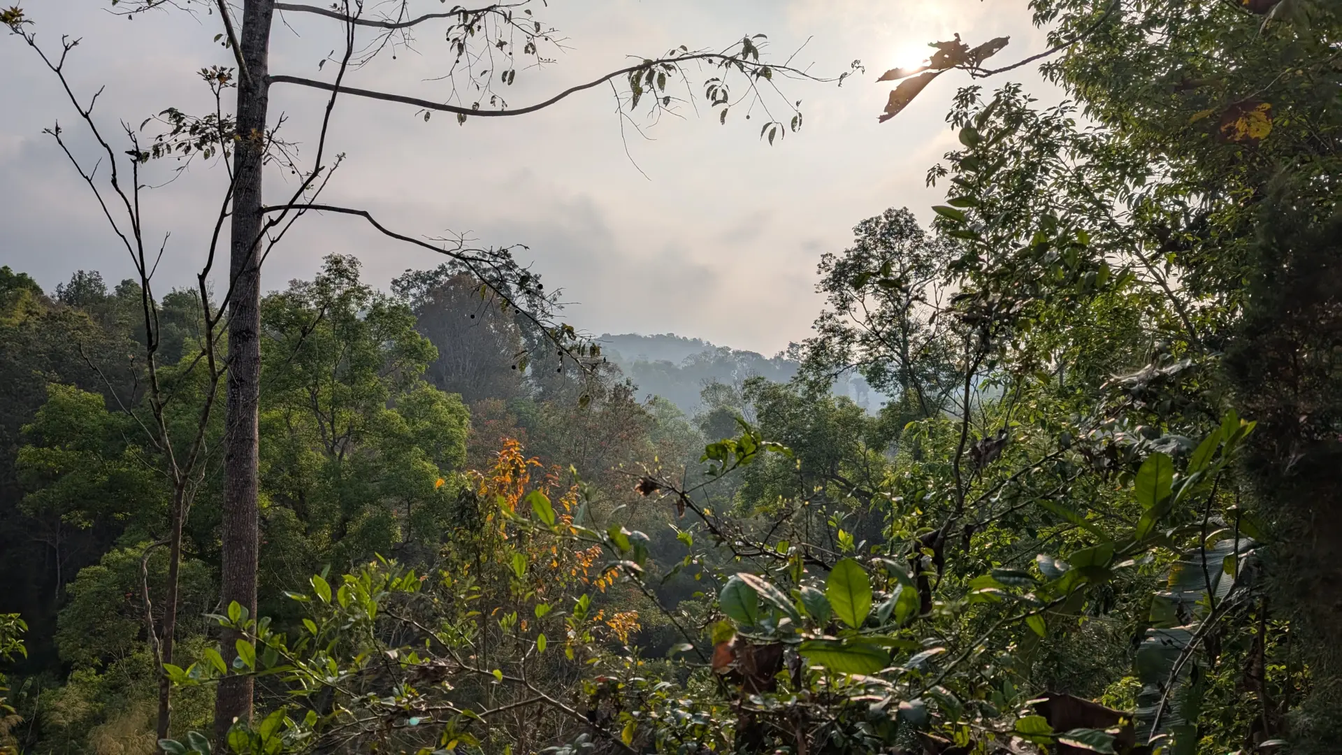Pa Pae, Mae Taeng District, Chiang Mai, 11.12.2023