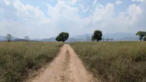 Pai, 10.03.2025