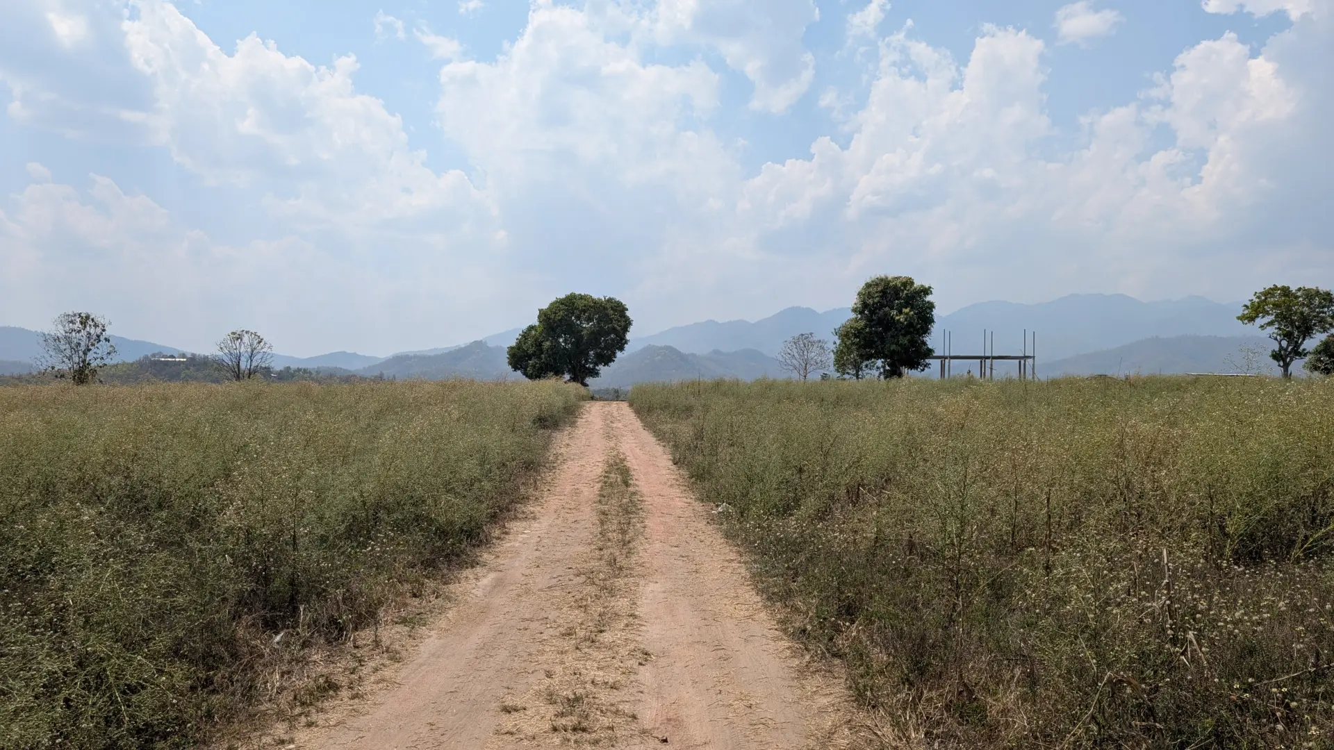 Pai, 10.03.2025
