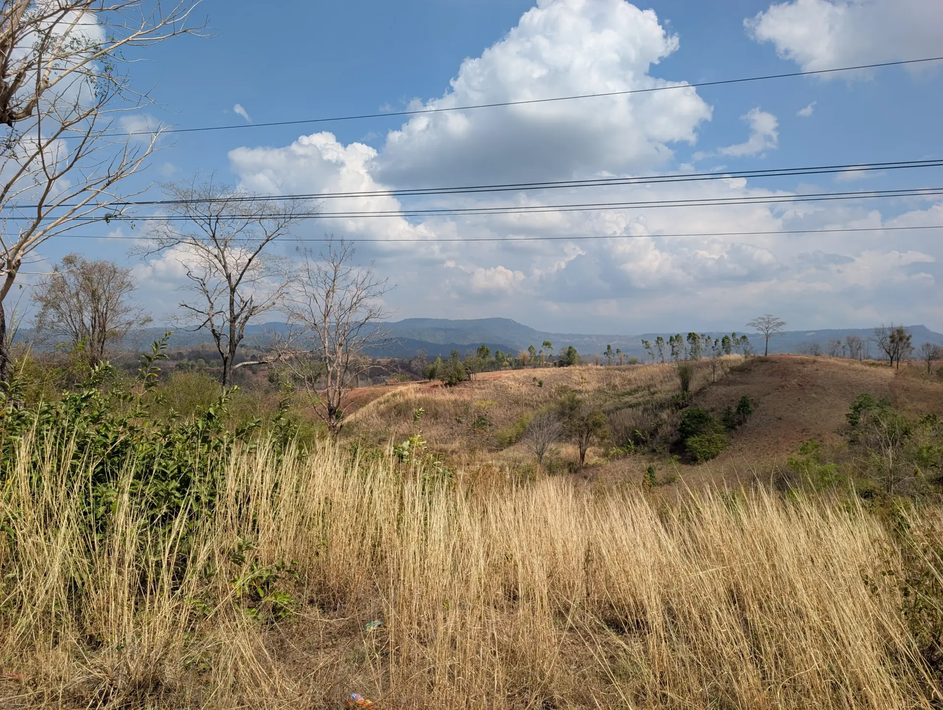 Bo Pho, Nakhon Thai District, Phitsanulok, 26.02.2026, Thailand