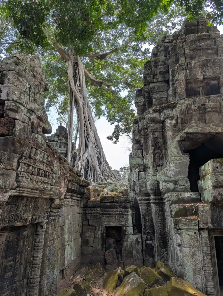 Ta Prohm, 21.04.2025