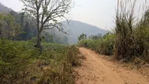 Pha Bong, Mueang Mae Hong Son District, Mae Hong Son, 14.03.2025