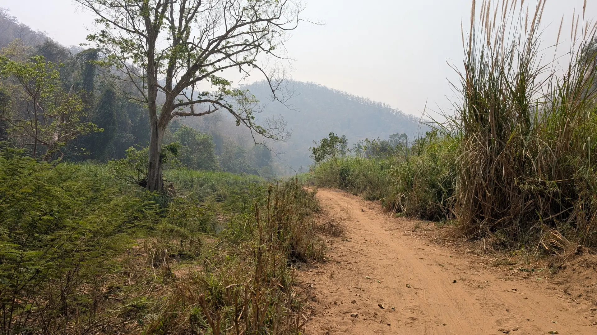Pha Bong, Mueang Mae Hong Son District, Mae Hong Son, 14.03.2025