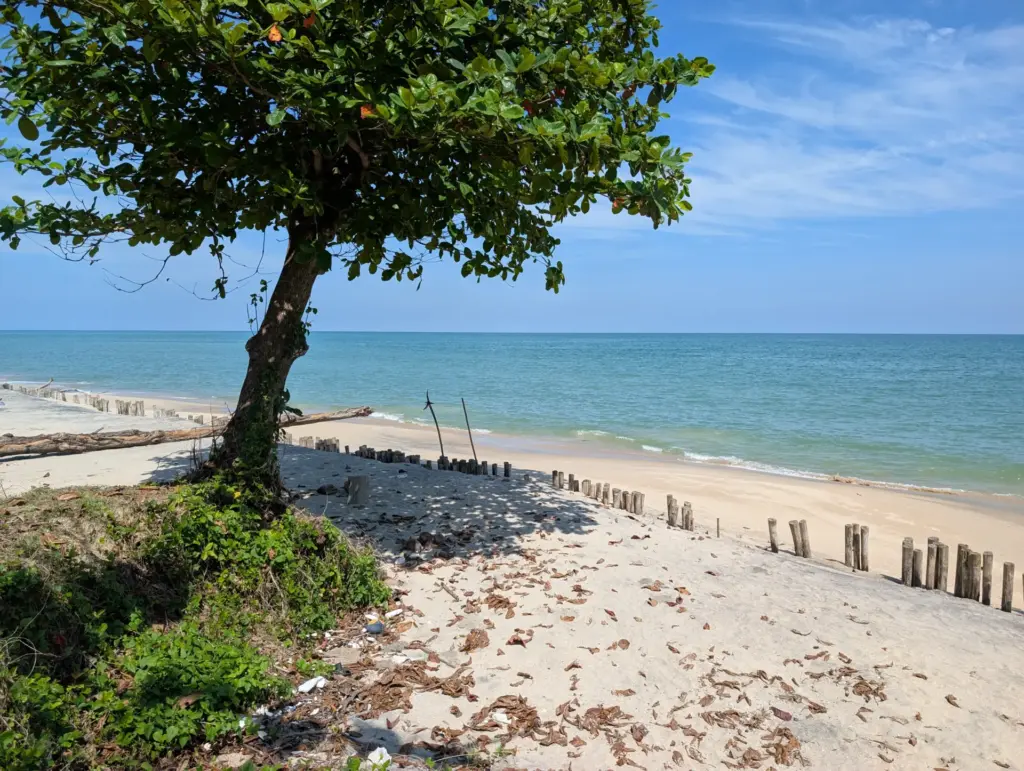 Amphoe Tha Sala, Nakhon Si Thammarat, 01.01.2026 Thailand