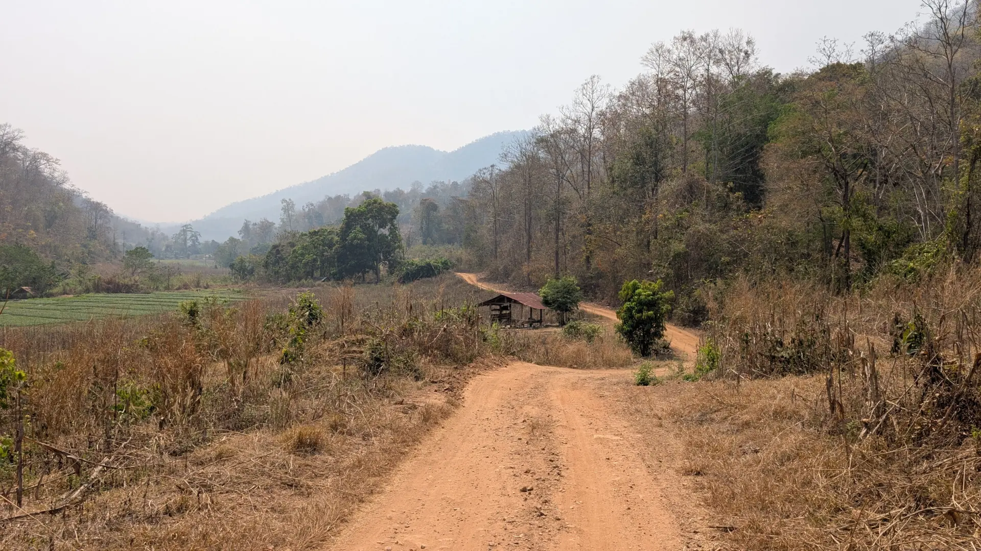 Huai Pong, Mueang Mae Hong Son District, Mae Hong Son, 14.03.2025
