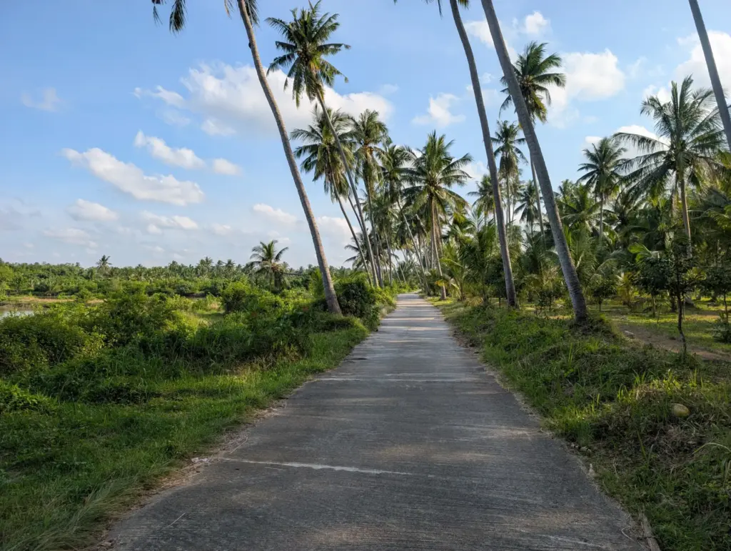 Pak Phun, Nakhon Si Thammarat, 01.01.2026, Thailand