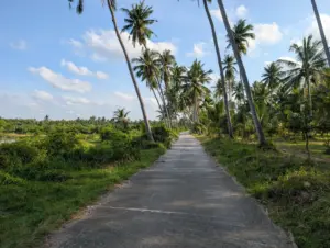 Pak Phun, Nakhon Si Thammarat, 01.01.2026, Thailand