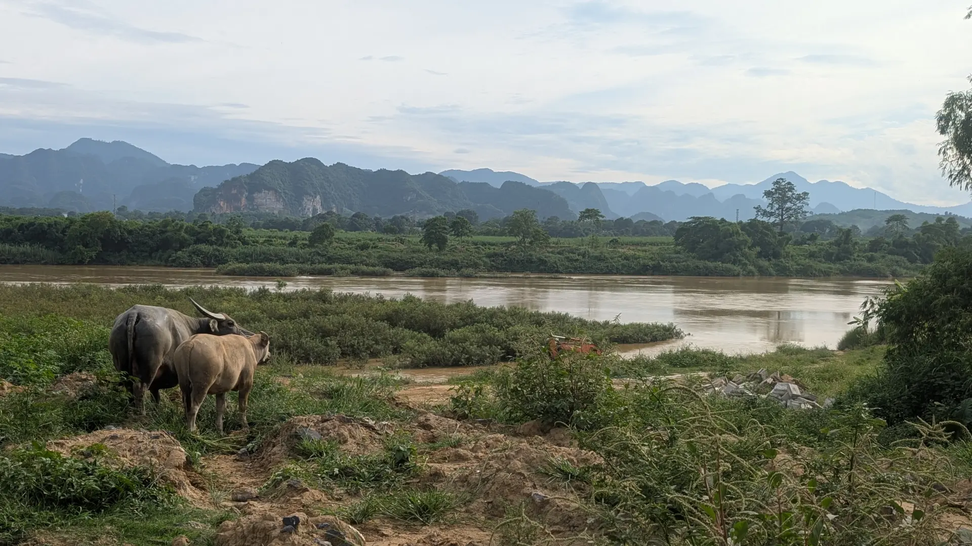 Thanh Hóa, Vietnam, 17.06.2026