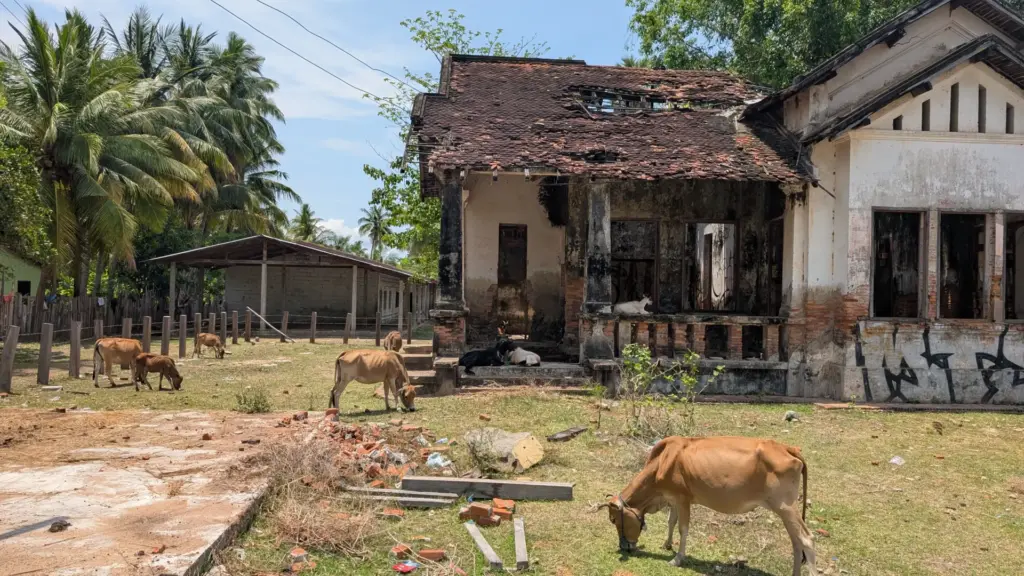 Don Khon, 4000 Islands, 27.04.2025, Laos