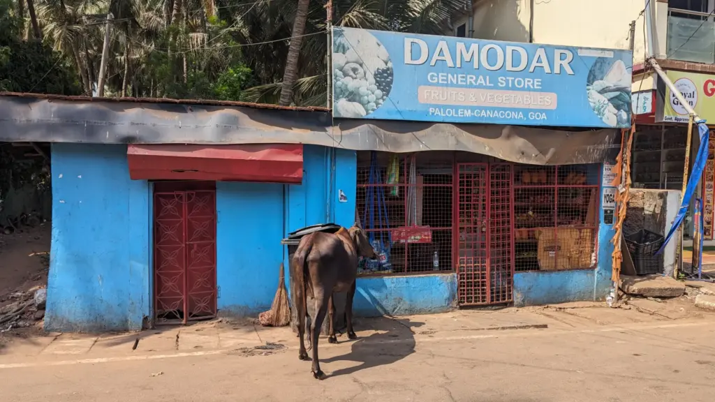 Canacona, Goa, India, 06.05.2024