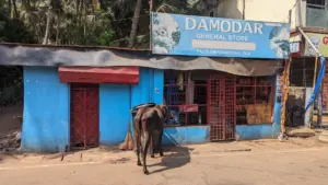Canacona, Goa, India, 06.05.2024