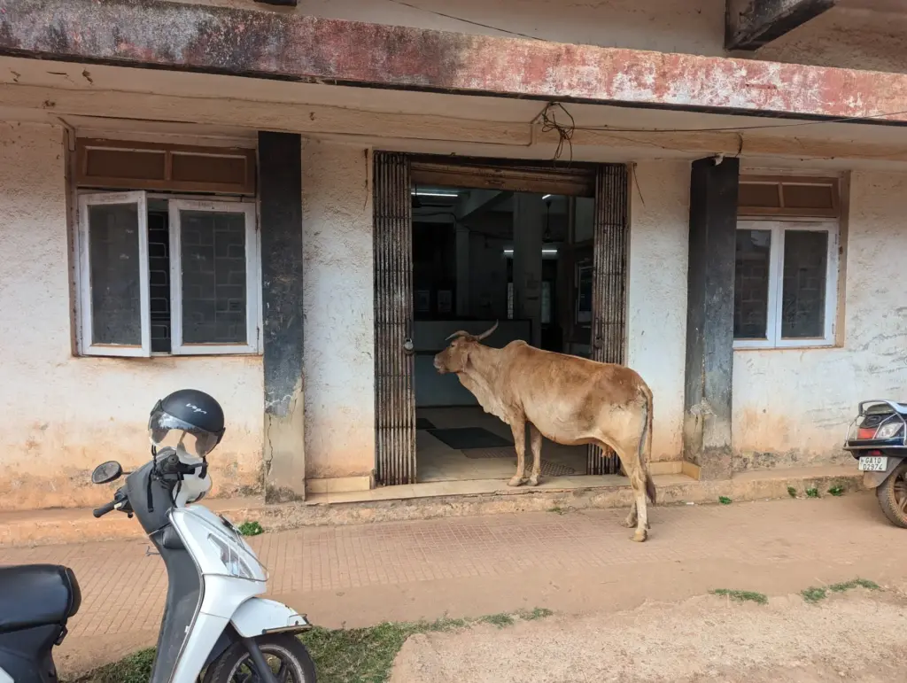 Canacona, Goa, India, 06.05.2024