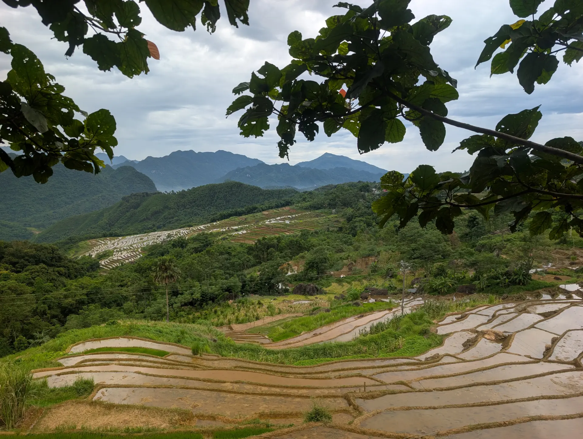 Pu Luong, Vietnam, 19.06.2026