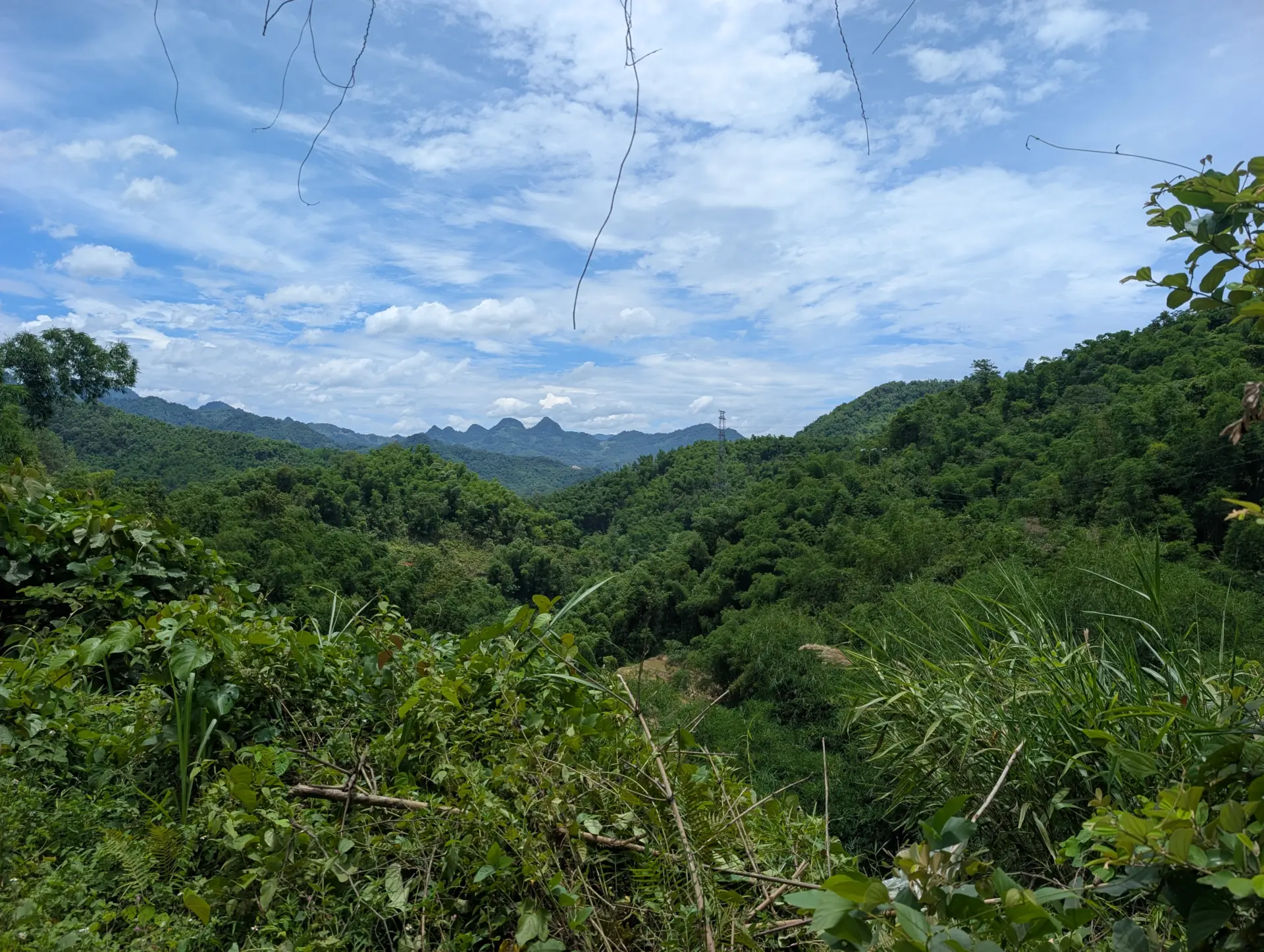 Tan Mai, Hoa Binh, Vietnam, 20.06.2026