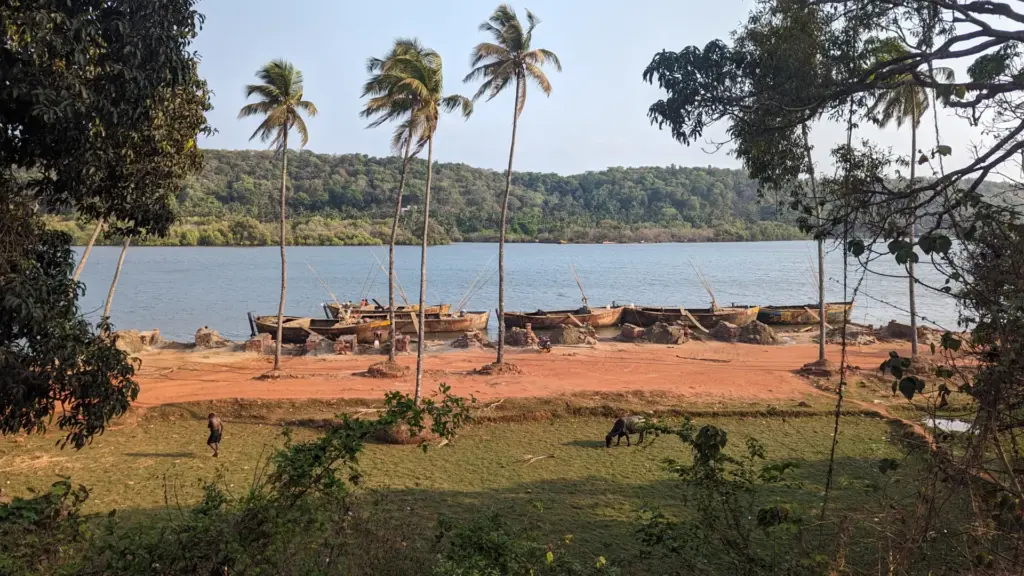 Devbag, Maharashtra, India, 12.05.2024