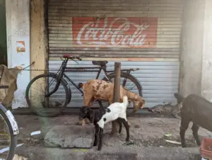 Mumbai, Maharashtra, Indien, 21.05.2024