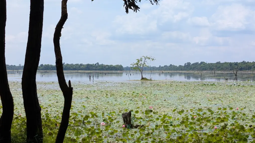 Jayatataka Baray, 20.04.2025