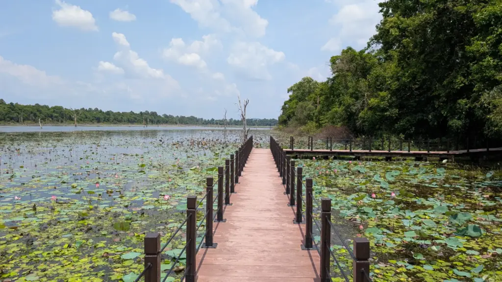 Jayatataka Baray, 20.04.2025