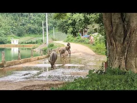 Ninh Binh
