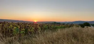 Sliwniza, Bulgarien, 20.08.2019