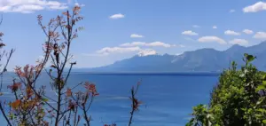 21.04.2019