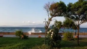Tirilye, 03.08.2018