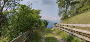 Meran, 20.08.2019