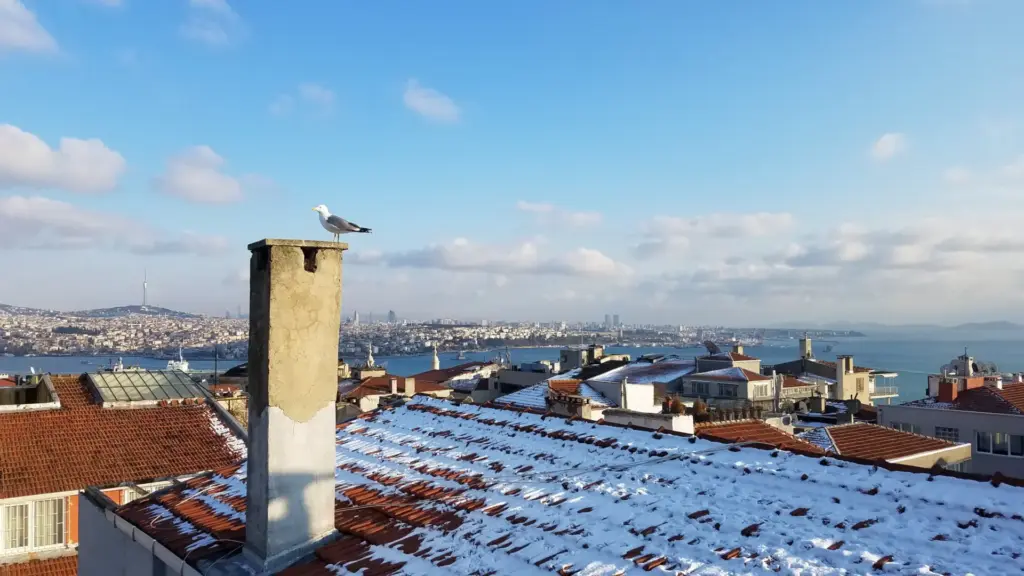 Bakraç Sk. No. 1, Cihangir, Januar 2019