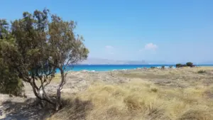 Kos, 10.08.2018