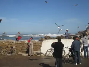 Essaouira, 02.01.2014