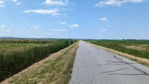 Kneževi Vinogradi, Kroatien, 22.07.2023
