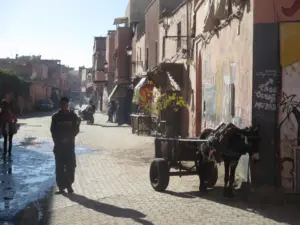 Marrakesch, 06.01.2014