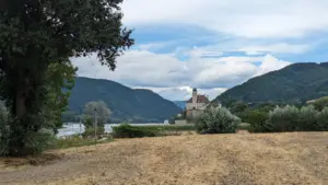 Schönbühel an der Donau, Österreich, 29.07.2023