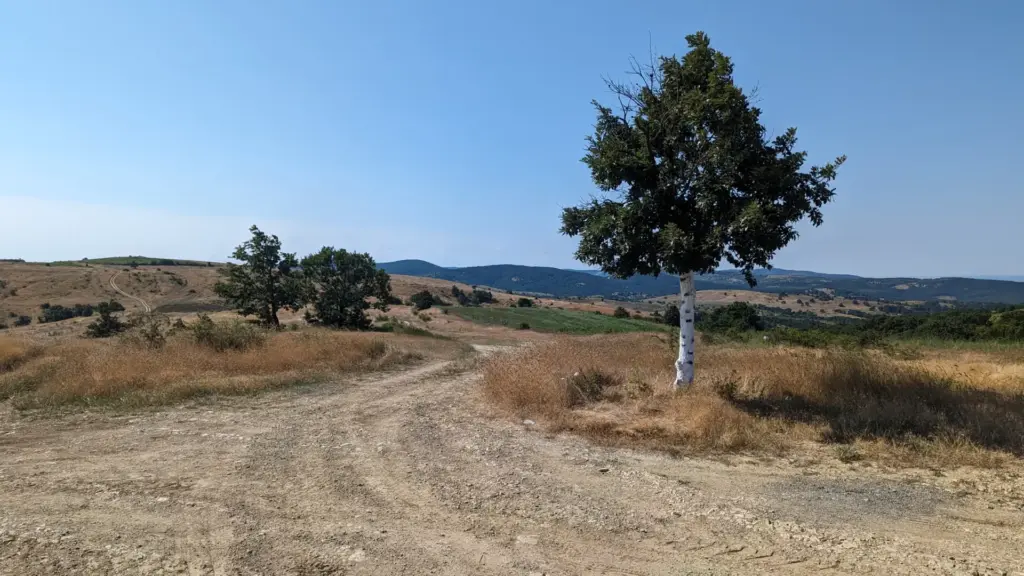 Bulgarien, 05.07.2023