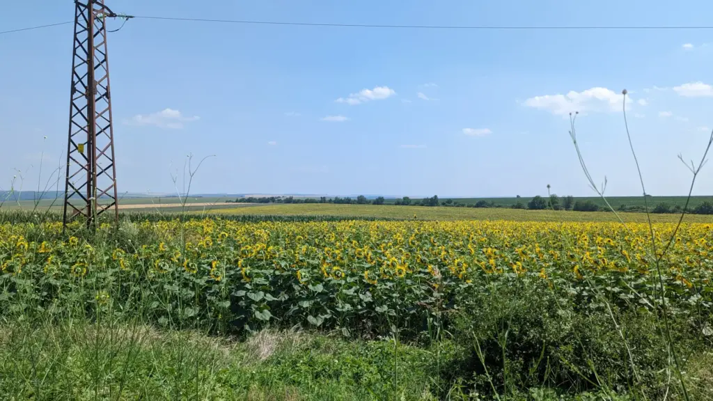 Dve Mogili, Bulgarien, 12.07.2023