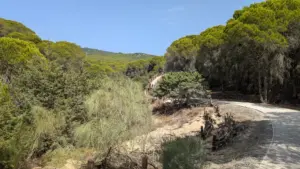 El Chaparral, 27.08.2024, Spanien