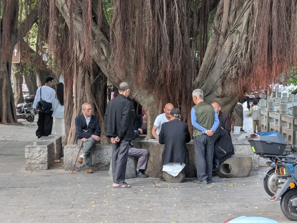 Fuzhou, 01.11.2025