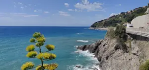 Genua, 02.08.2021