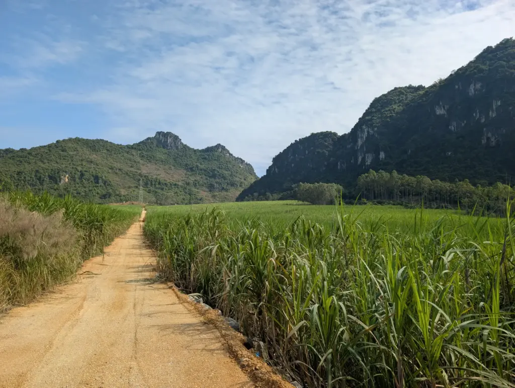 Chongzuo, Guangxi, 23.11.2025